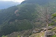 Mass18 034M